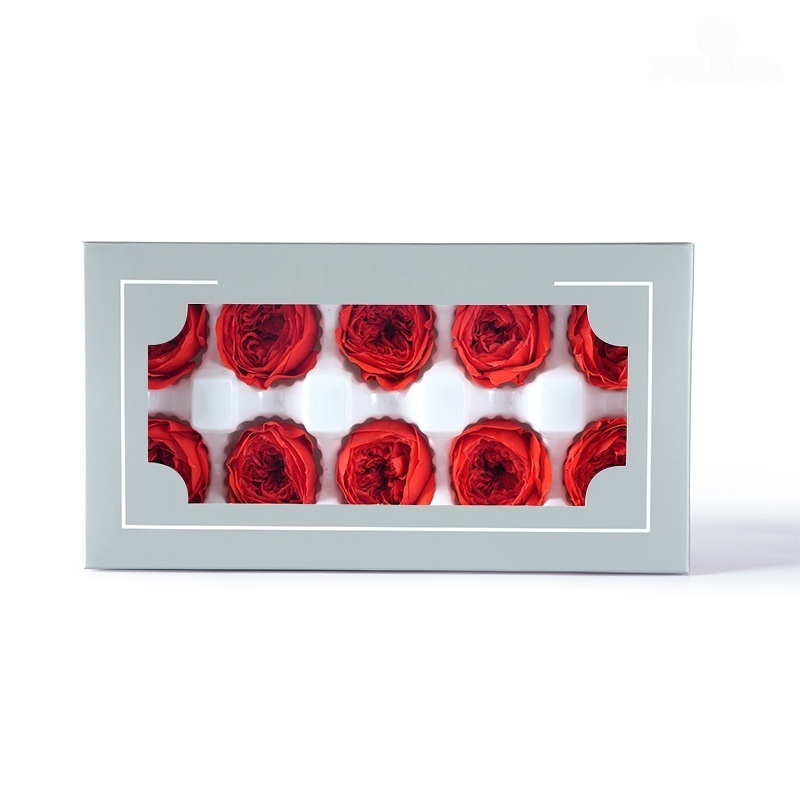 https://oss-cf.cjdropshipping.com/product/2026/04/27/03/087dd692-f7a0-4dde-b72a-6ad7425f36f3_water.jpeg