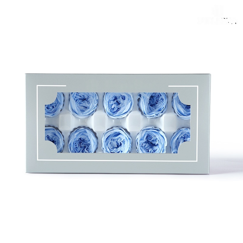 https://oss-cf.cjdropshipping.com/product/2026/04/27/03/497461c1-48f2-415c-bc7a-99a35af23f74_water.jpeg