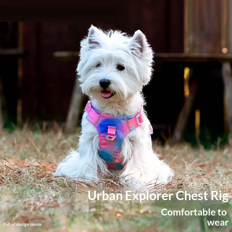 Adjustable, Scratch-resistant Outdoor Dog Leash