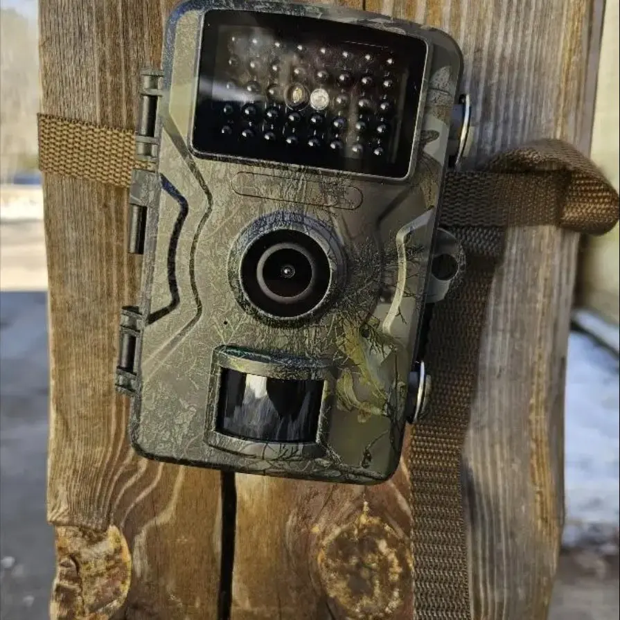 Night Vision Motion-Activated Photo And Video Recording
