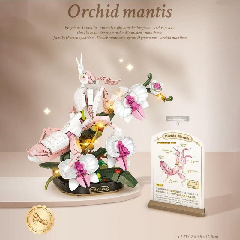 https://oss-cf.cjdropshipping.com/product/2026/05/05/03/bbfd4d8f-9d56-4d8a-9b59-0798a0d250f6_fine.jpeg