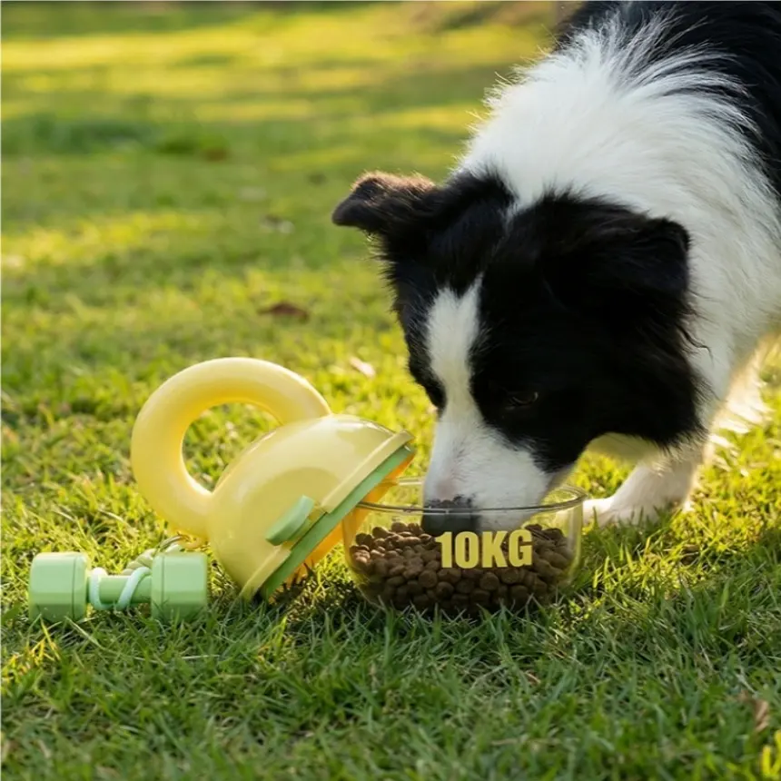 Portable Travel Mug Outdoor Water Bottle