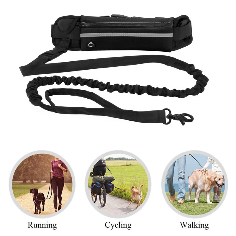 Pet Training Multi-Pocket Lightweight Leash product detail 3