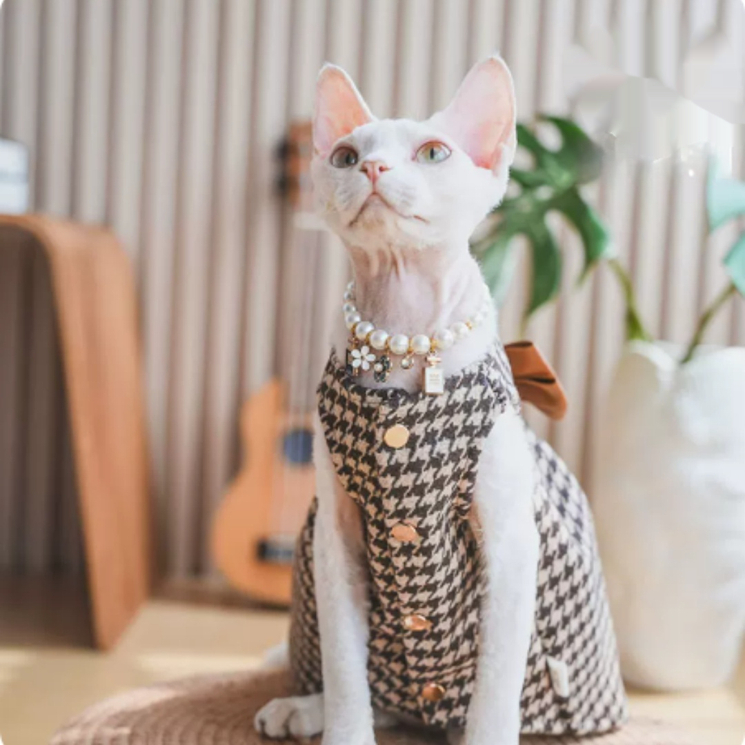 Hairless Cat Clothing Dress with Stretch Fit