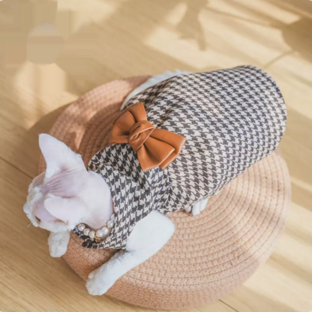 Hairless Cat Clothing Dress with Stretch Fit view 4