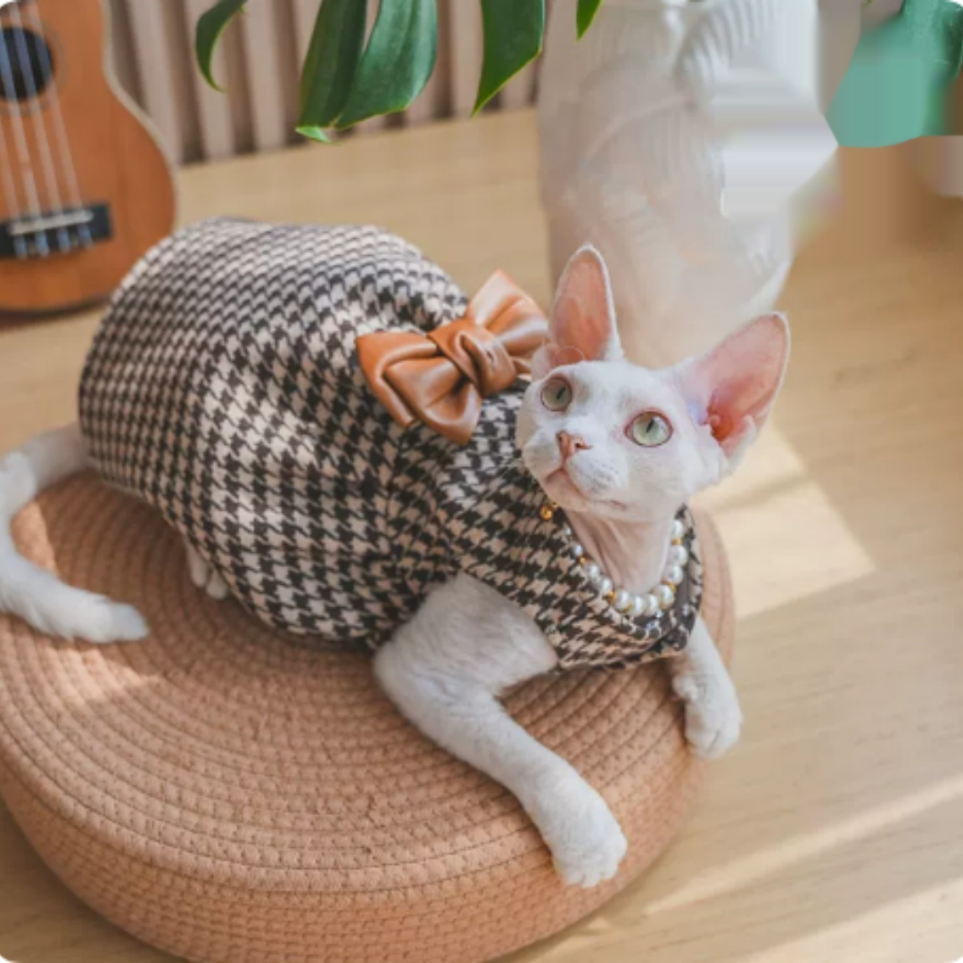 Hairless Cat Clothing Dress with Stretch Fit view 3