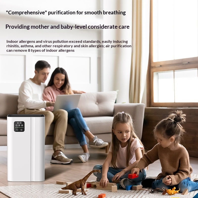 Negative Ion Indoor Smoke Odor Purifier