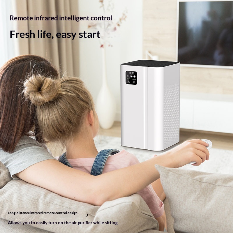Negative Ion Indoor Smoke Odor Purifier