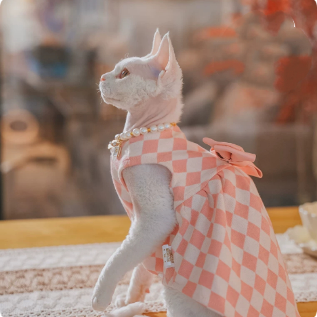 Hairless Cat Devon Cat Kitten Clothes British Style Dress