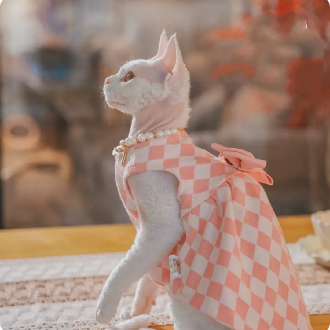 Hairless Cat Devon Kitten Clothes British Style