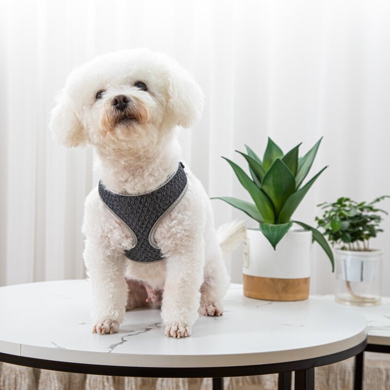 Reflective Vest-Style Dog Walking Harness | Safe Breathable Comfort — view 4