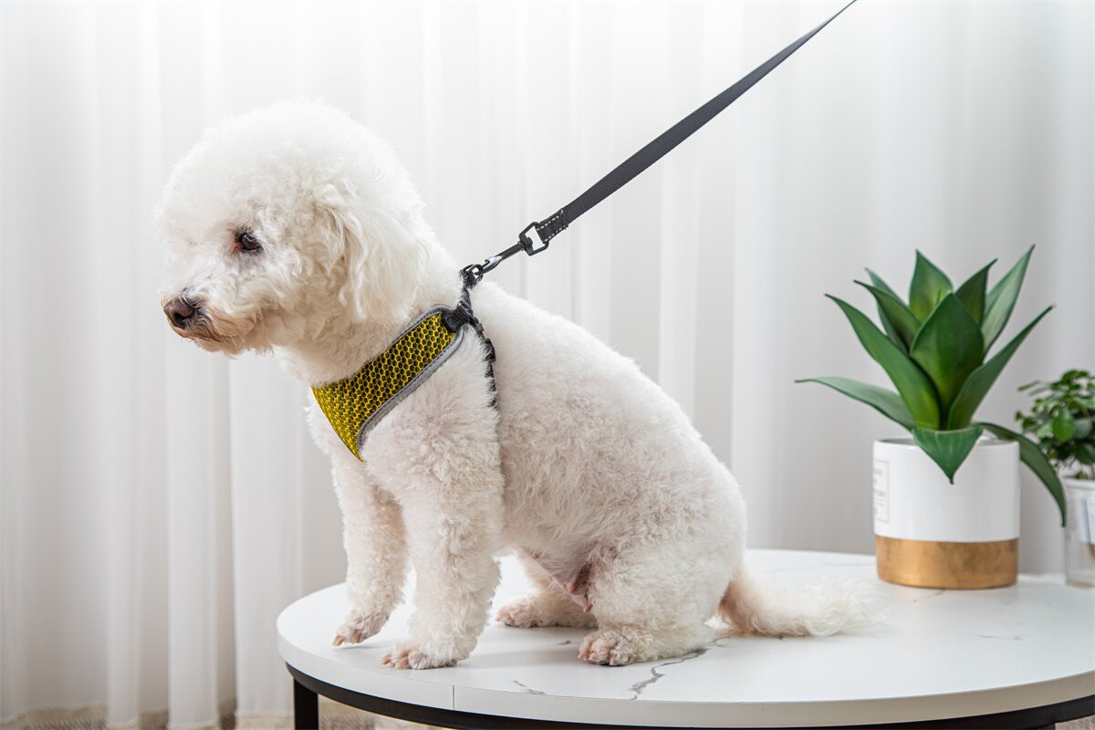 Reflective Vest-Style Dog Walking Harness | Safe Breathable Comfort — view 7