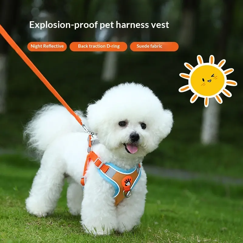 Dedicated Breathable High-leg Bichon Frise Harness