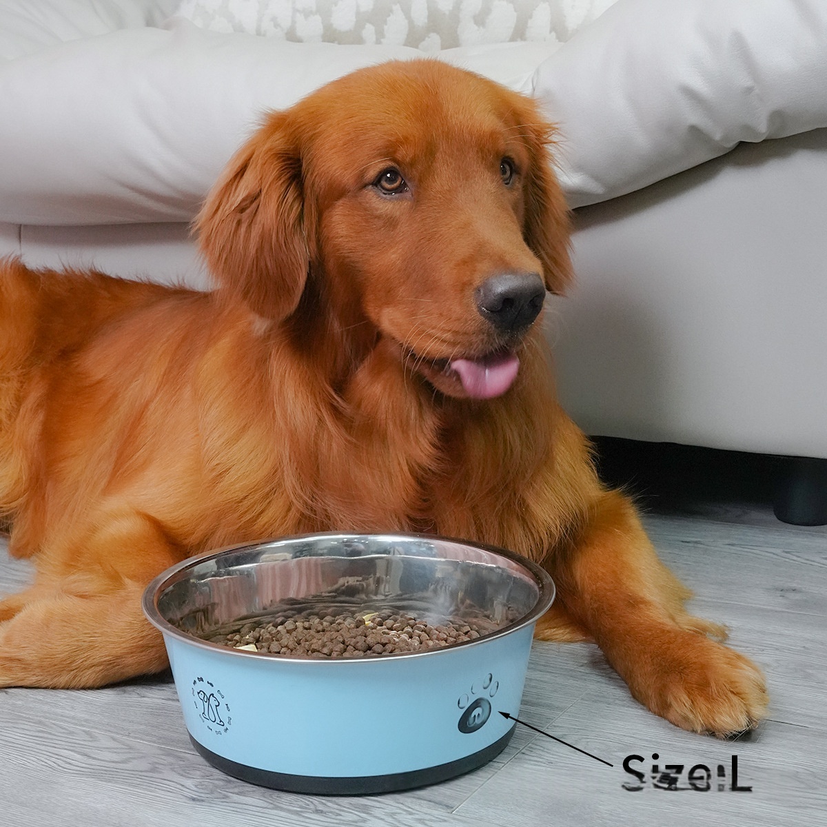 Stainless Steel Large-Capacity Dog Bowl With Footp
