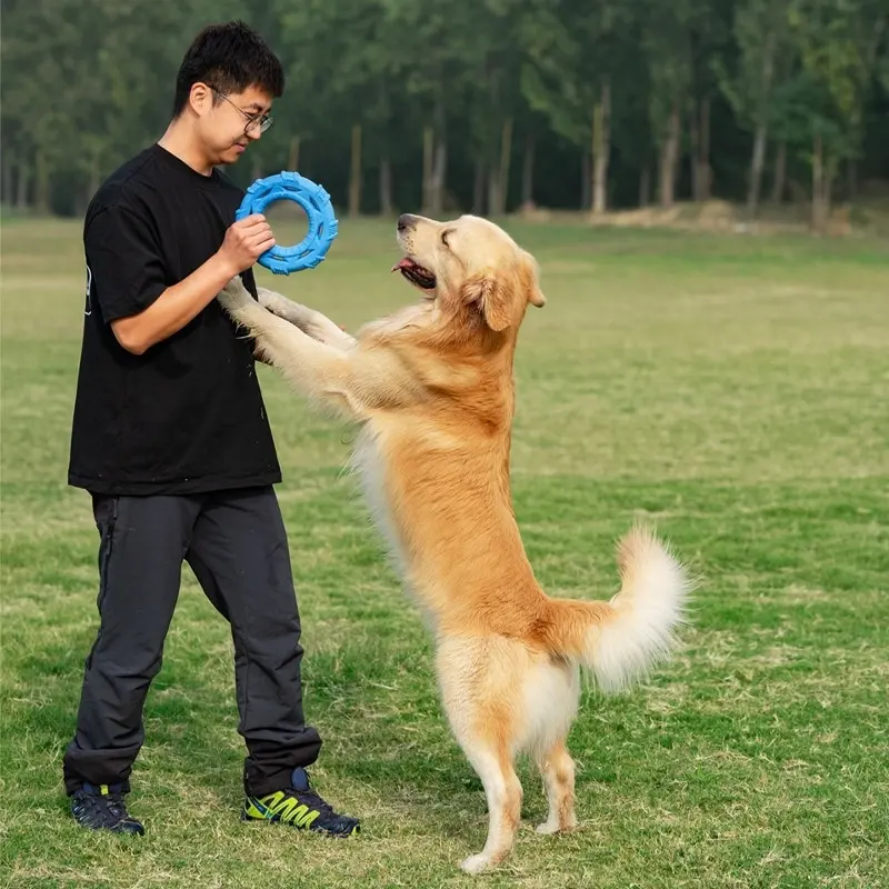 Lightweight And Soft TPR Foam Dog Toy
