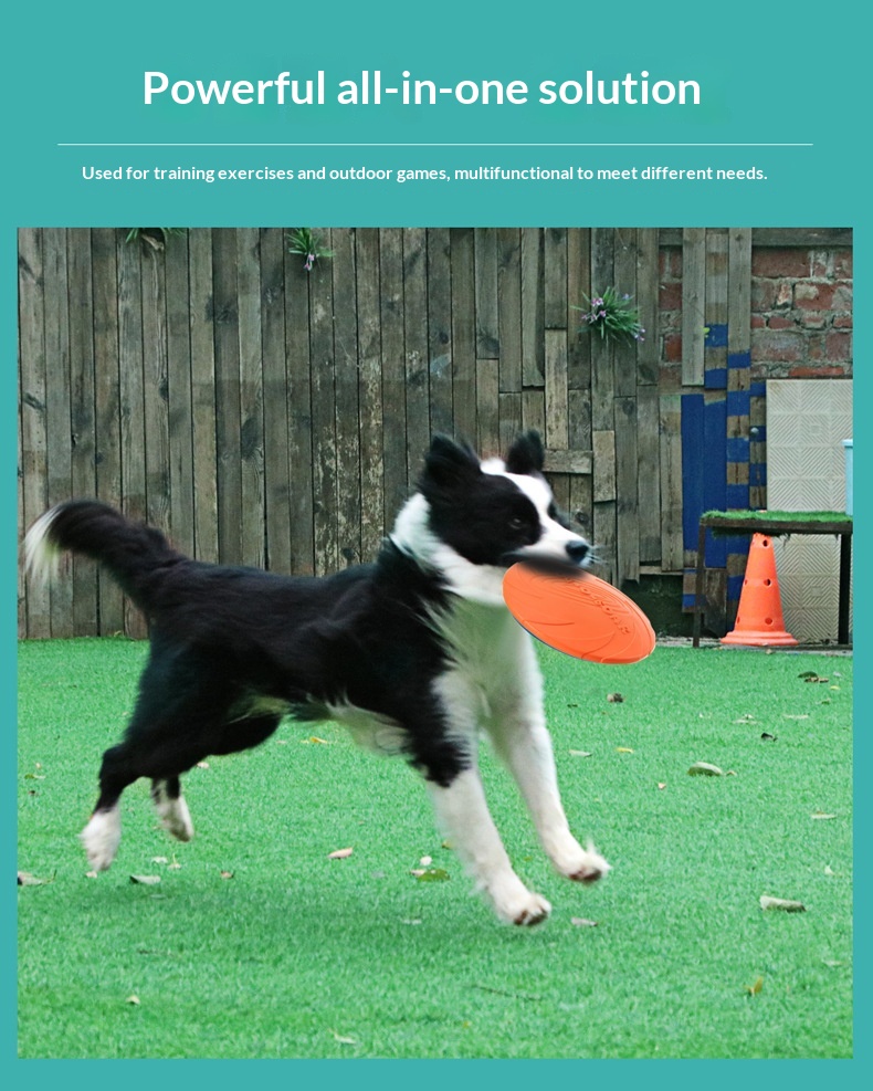 Dog-O-Soar dog frisbee toy held by Border Collie during outdoor fetch