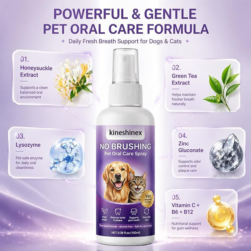 https://oss-cf.cjdropshipping.com/product/2026/05/14/03/f54bd7ff-0162-462e-b9bd-3e108478edef.jpg