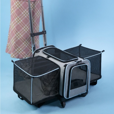 Convenient Diagonal Cross Handbag Large Capacity Cat Outdoor Bag