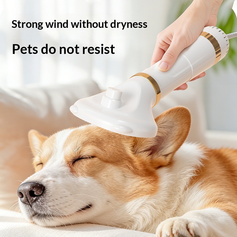 High-Power Hair Dryer For Pets thumbnail 2