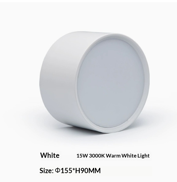 Ceiling Recessed Downlights Without Lamps Available In White And Black