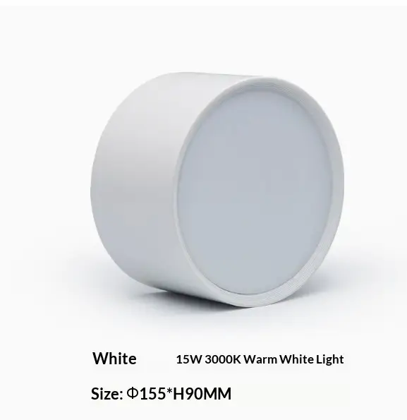 Ceiling Recessed Downlights Without Lamps Available In White And Black