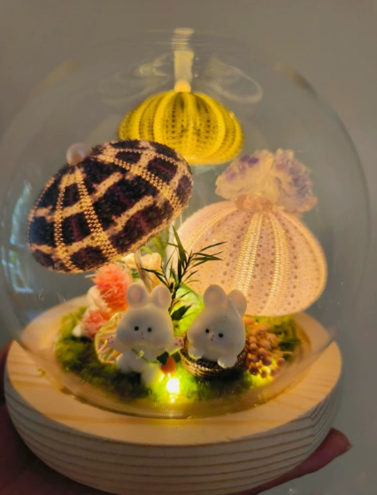 Sea Urchin Shell Night Light, picture 3 of 11