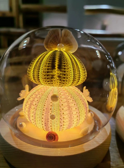 Sea Urchin Shell Night Light, picture 8 of 11