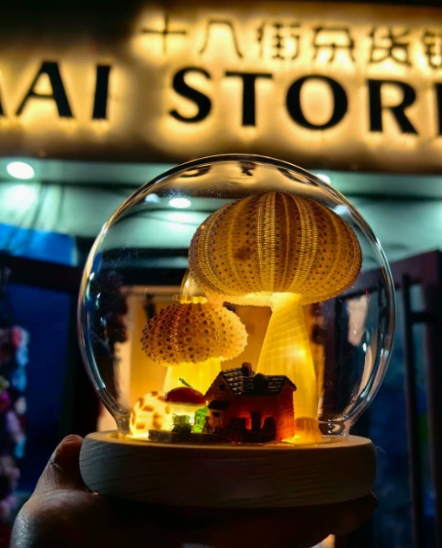 Sea Urchin Shell Night Light, picture 10 of 11
