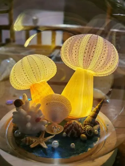 Sea Urchin Shell Night Light Handmade Finished Product Birthday Decoration For Female Best