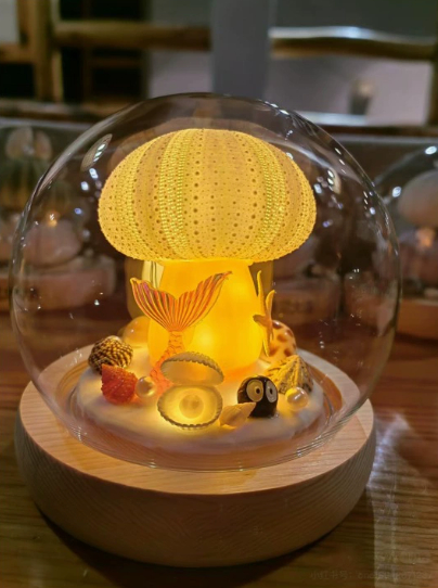 Sea Urchin Shell Night Light