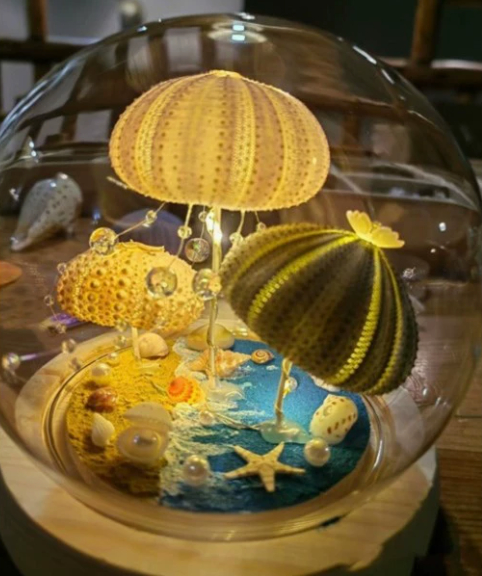 Sea Urchin Shell Night Light, picture 4 of 11