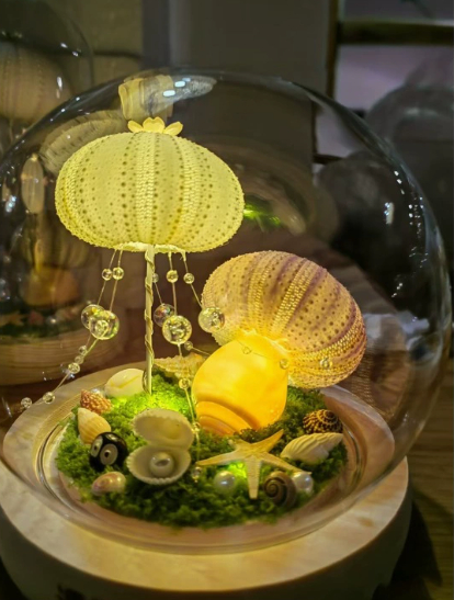 Sea Urchin Shell Night Light, picture 7 of 11