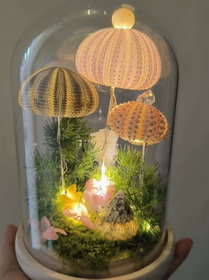 Sea Urchin Shell Night Light, picture 5 of 11
