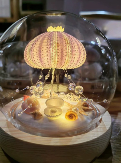 Sea Urchin Shell Night Light, picture 9 of 11