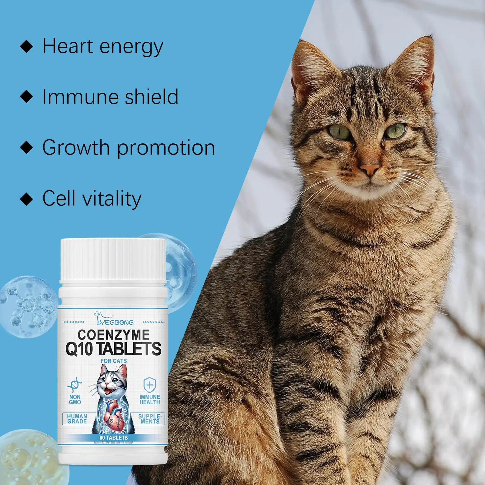 Daily Coenzyme Q10 Tablets For Cats