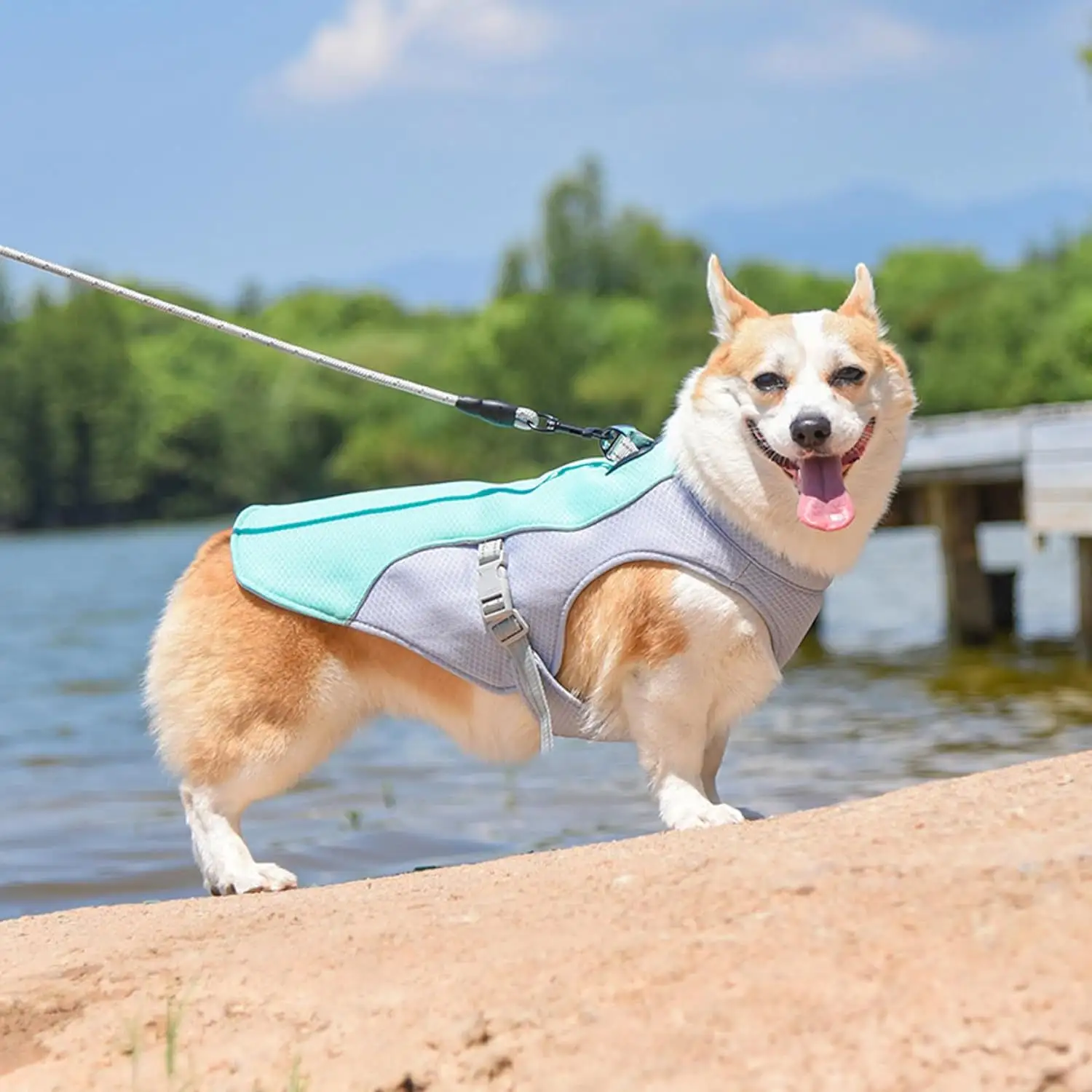 Pet Clothes Breathable Thin In Summer