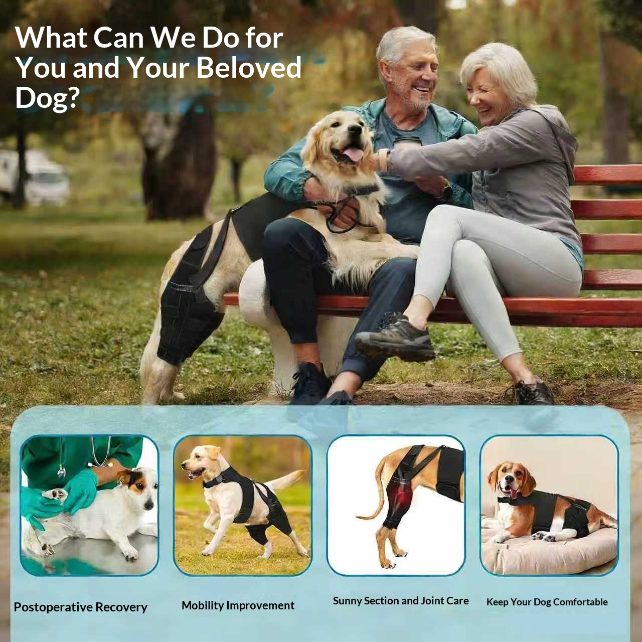 Pet Dog Gear Rear Back And Hind Leg Dual Protector Protective Cover