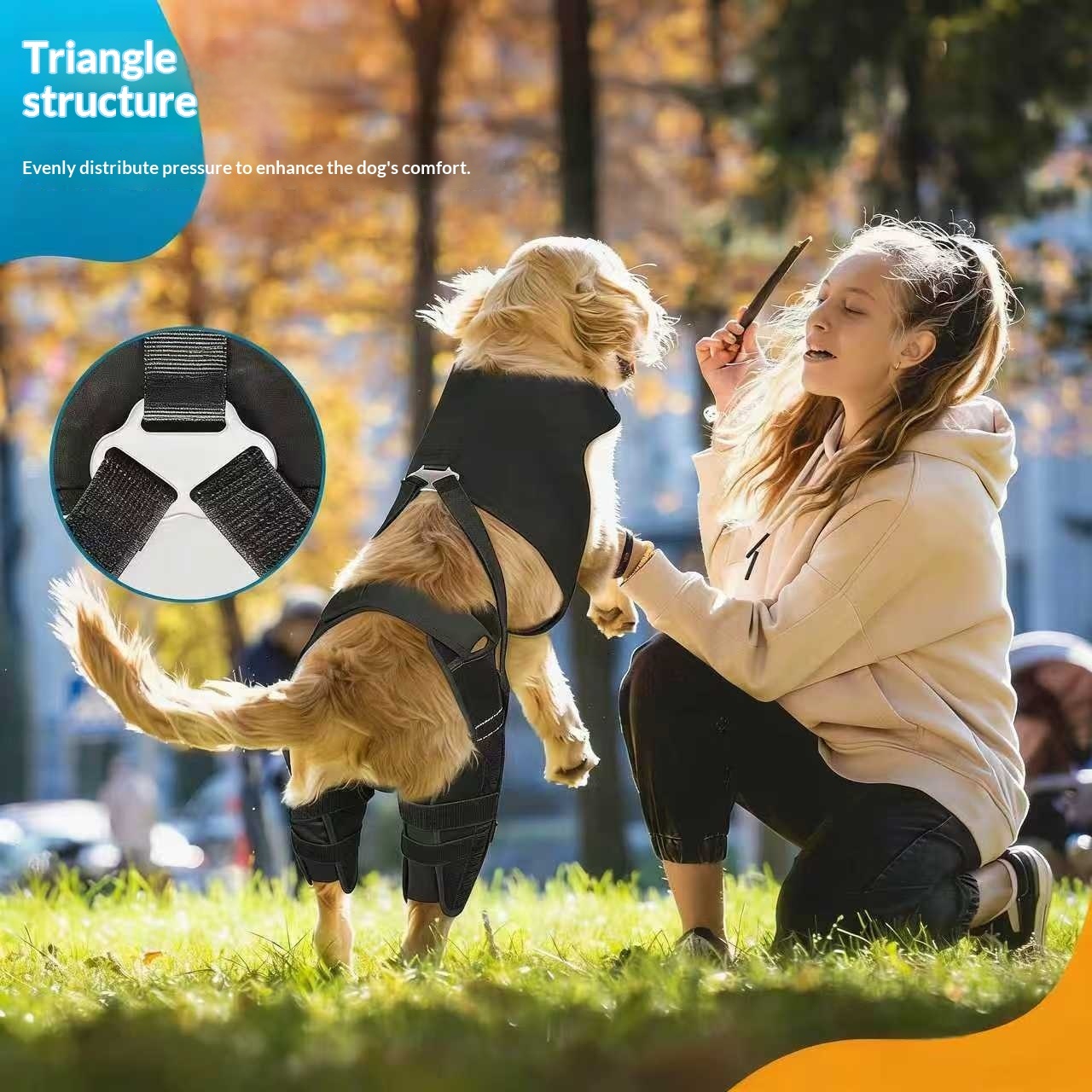 Couverture de protection double protecteur de l'équipement arrière et du pied arrière pour chien animal