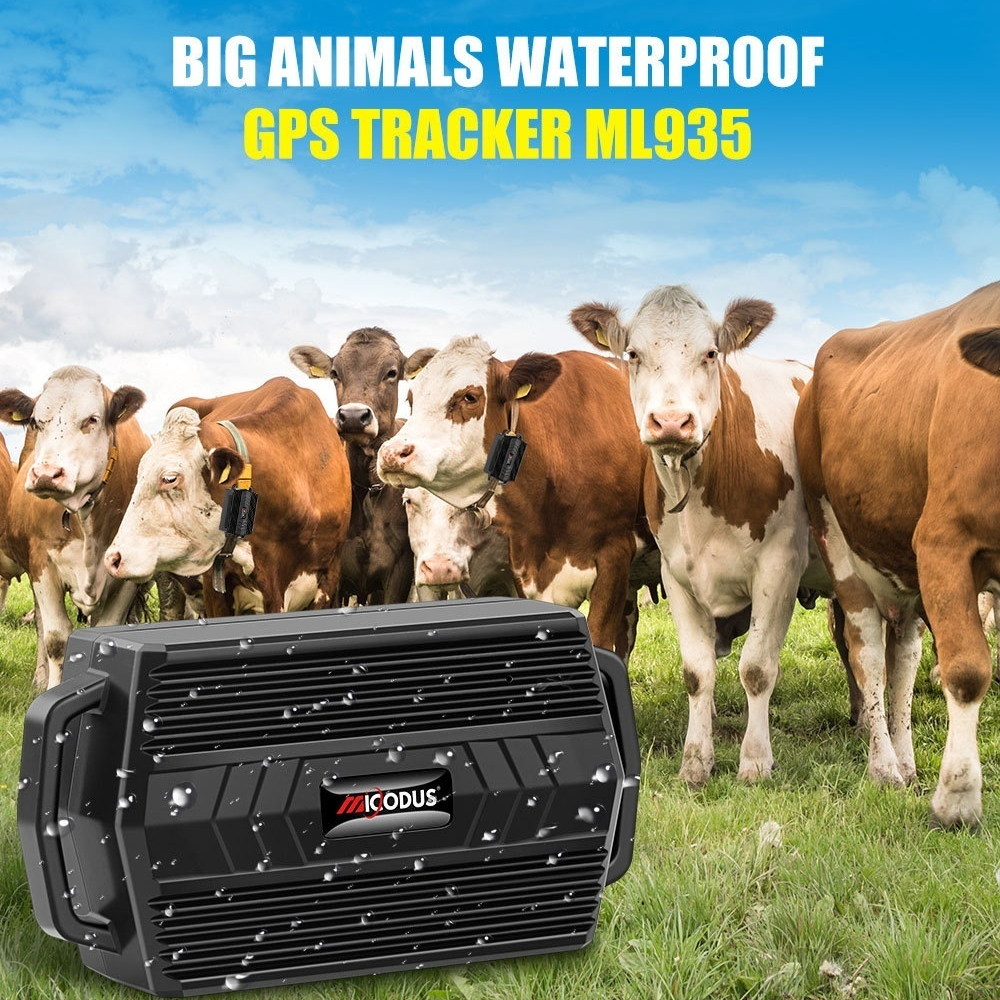 Anti-loss Cattle And Sheep Hunting Dog Tracker