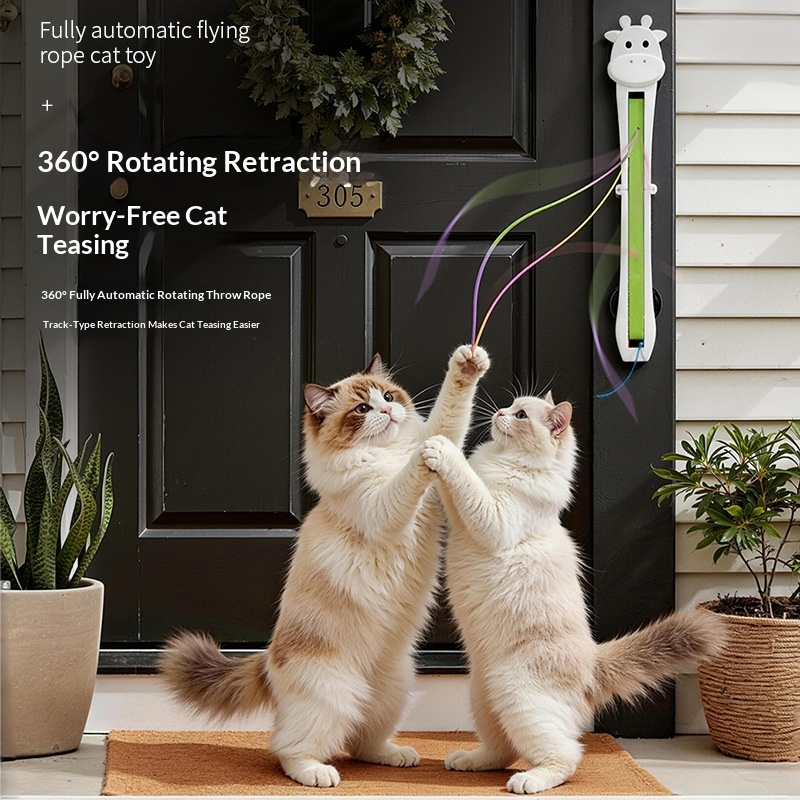 https://oss-cf.cjdropshipping.com/product/2026/05/23/09/6f0e6faa-05a0-42ee-8fa6-7a1fc238deae_trans.jpeg