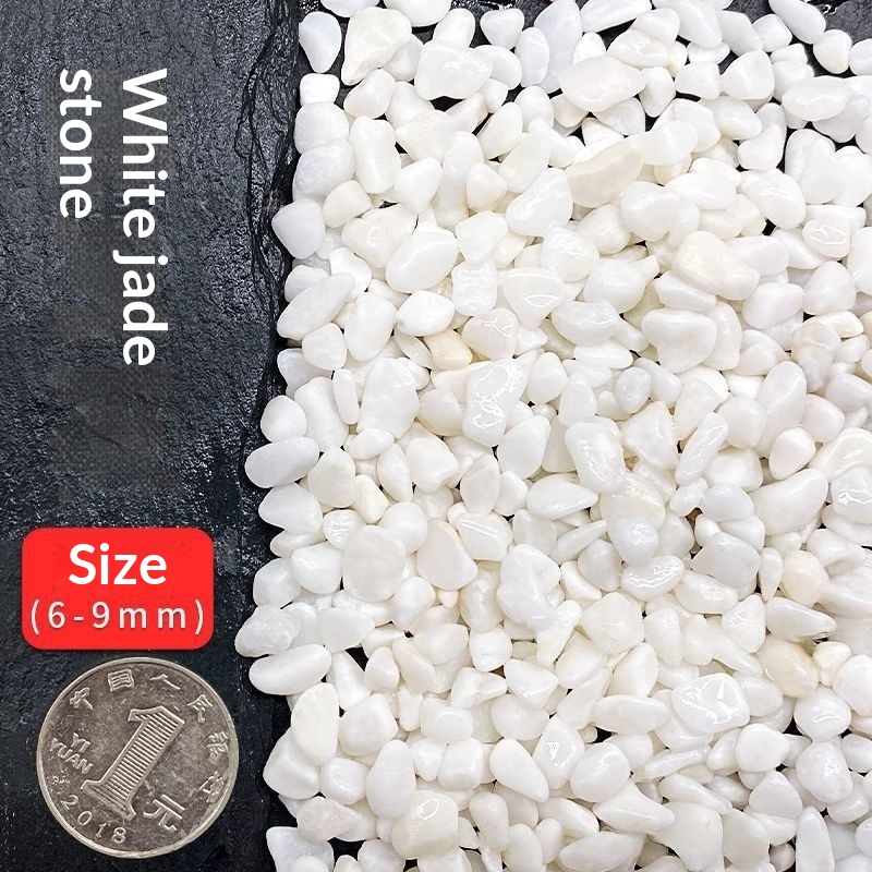 https://oss-cf.cjdropshipping.com/product/2026/05/25/03/4a6a0a1f-44b1-4e97-9c86-635e351bc158_water_trans.jpeg