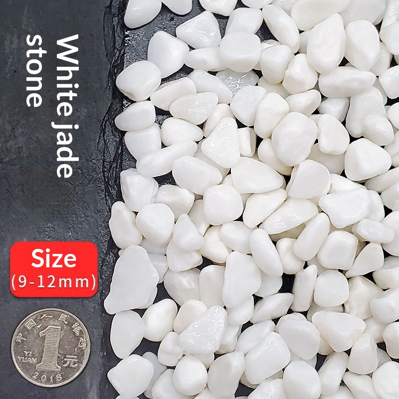 https://oss-cf.cjdropshipping.com/product/2026/05/25/03/94d869b0-6ef4-44e2-946f-035ba807134b_water_trans.jpeg