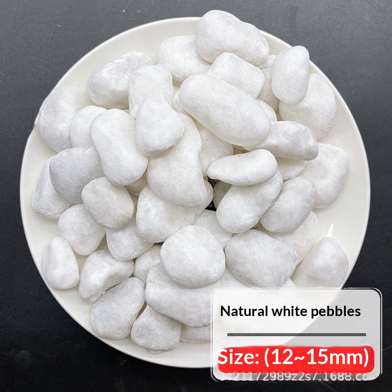 https://oss-cf.cjdropshipping.com/product/2026/05/25/03/fd077dd4-d744-480c-bc52-5ddd9954d563_water_trans.jpeg