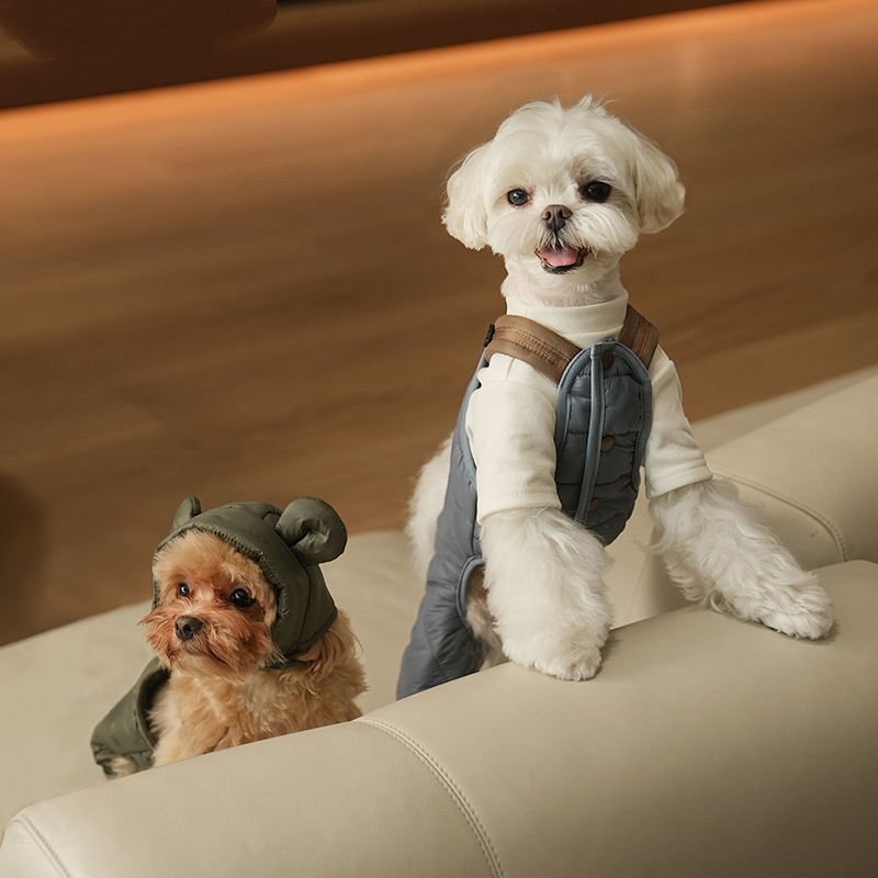 PawCrate