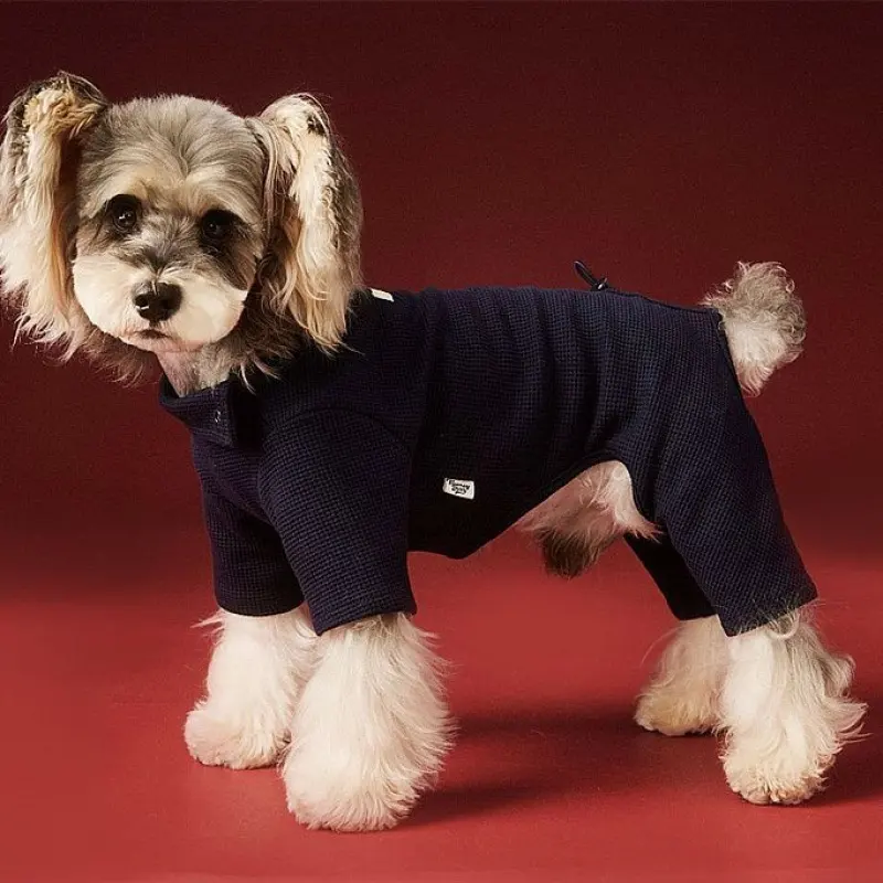 Small Dog Pet Clothes AutumnWinter Four-Leg Base