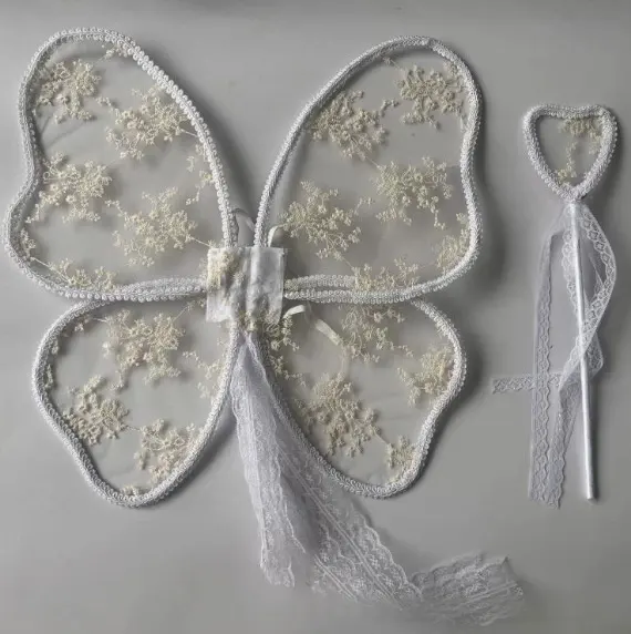 Angel Lace Wings And Fairy Wand Set