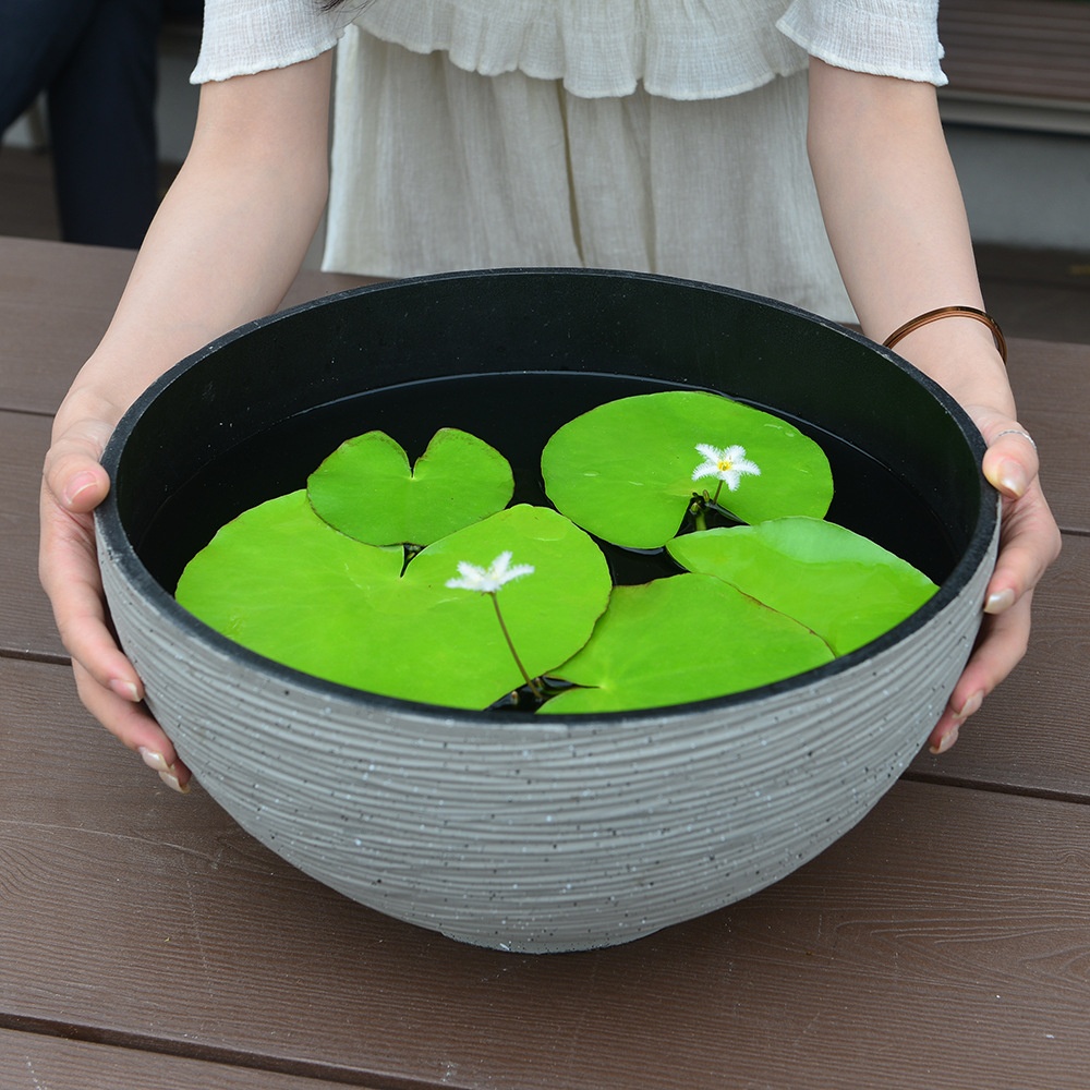 Thickened Plastic Lotus Flower Planter With A Wide Opening