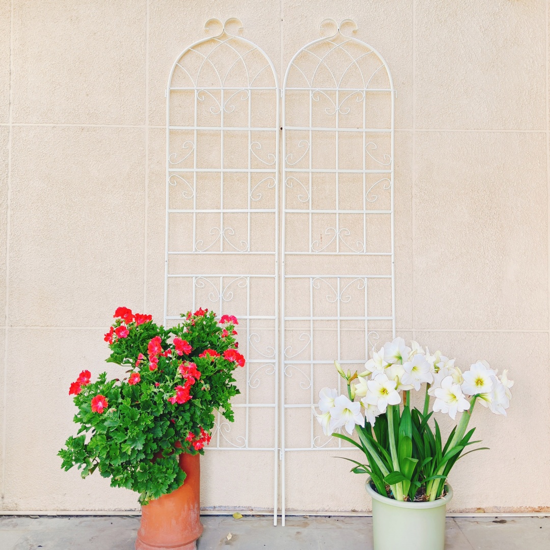 Garden Trellis For Climbing Plants Metal Rustproof Cream White_voghion.com
