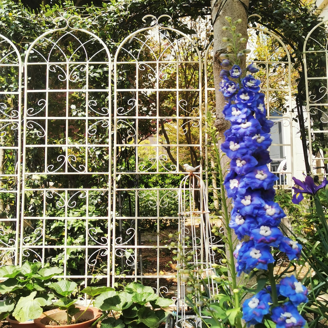 Garden Trellis For Climbing Plants Metal Rustproof Cream White_voghion.com