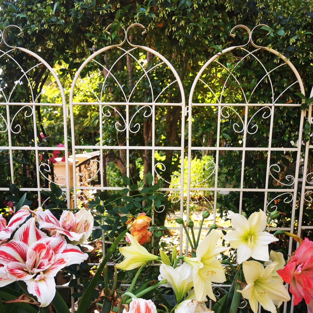 Garden Trellis For Climbing Plants Metal Rustproof Cream White_voghion.com